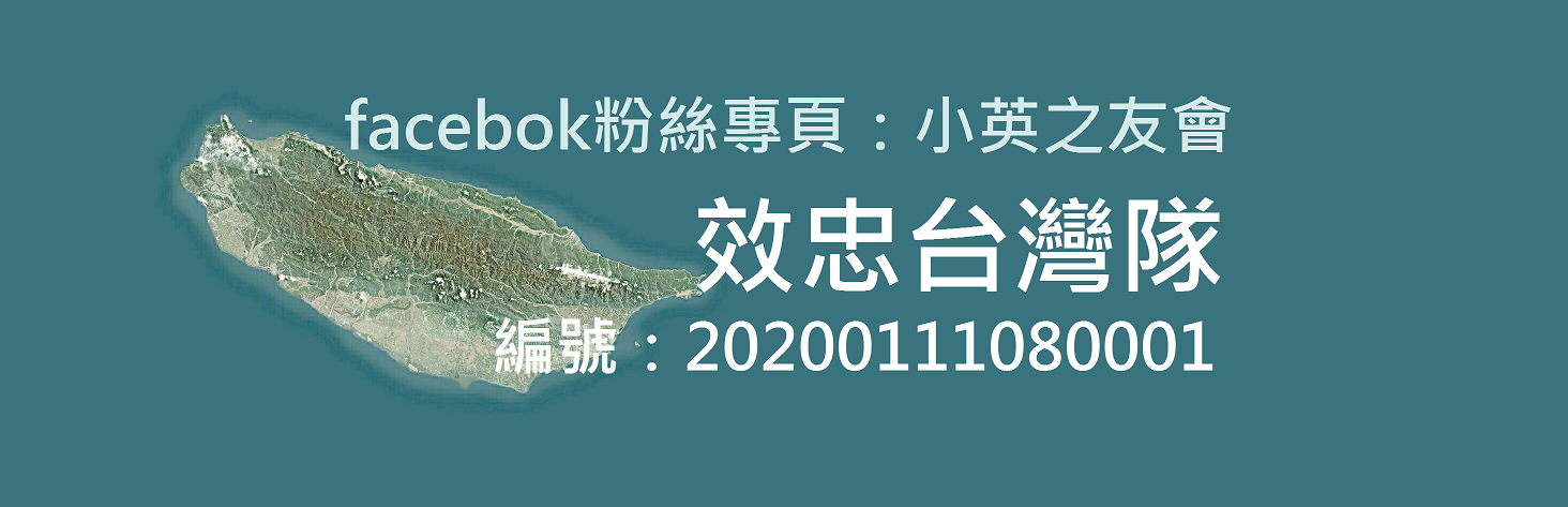 小英之友 - 效忠台灣隊